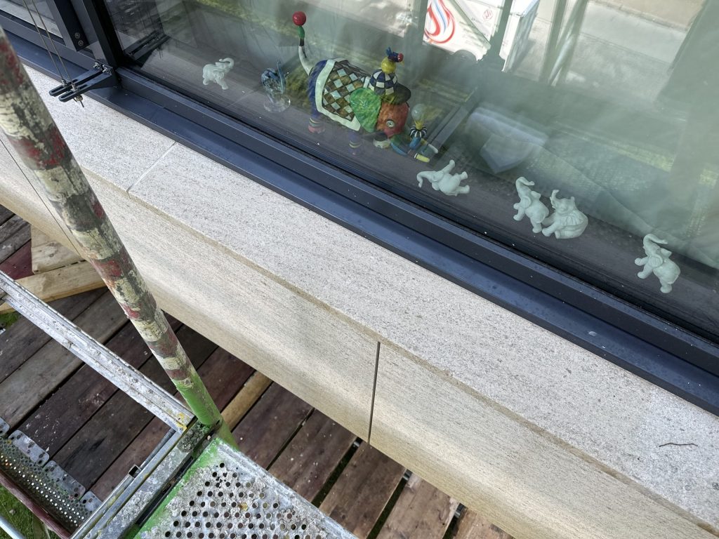 Flechten_ Algen hinterher